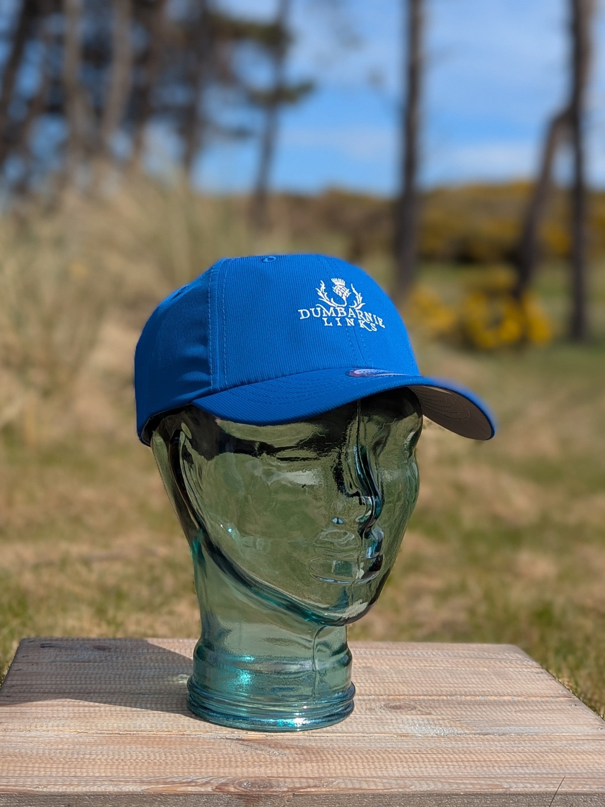 Original Performance Cap in Royal Blue