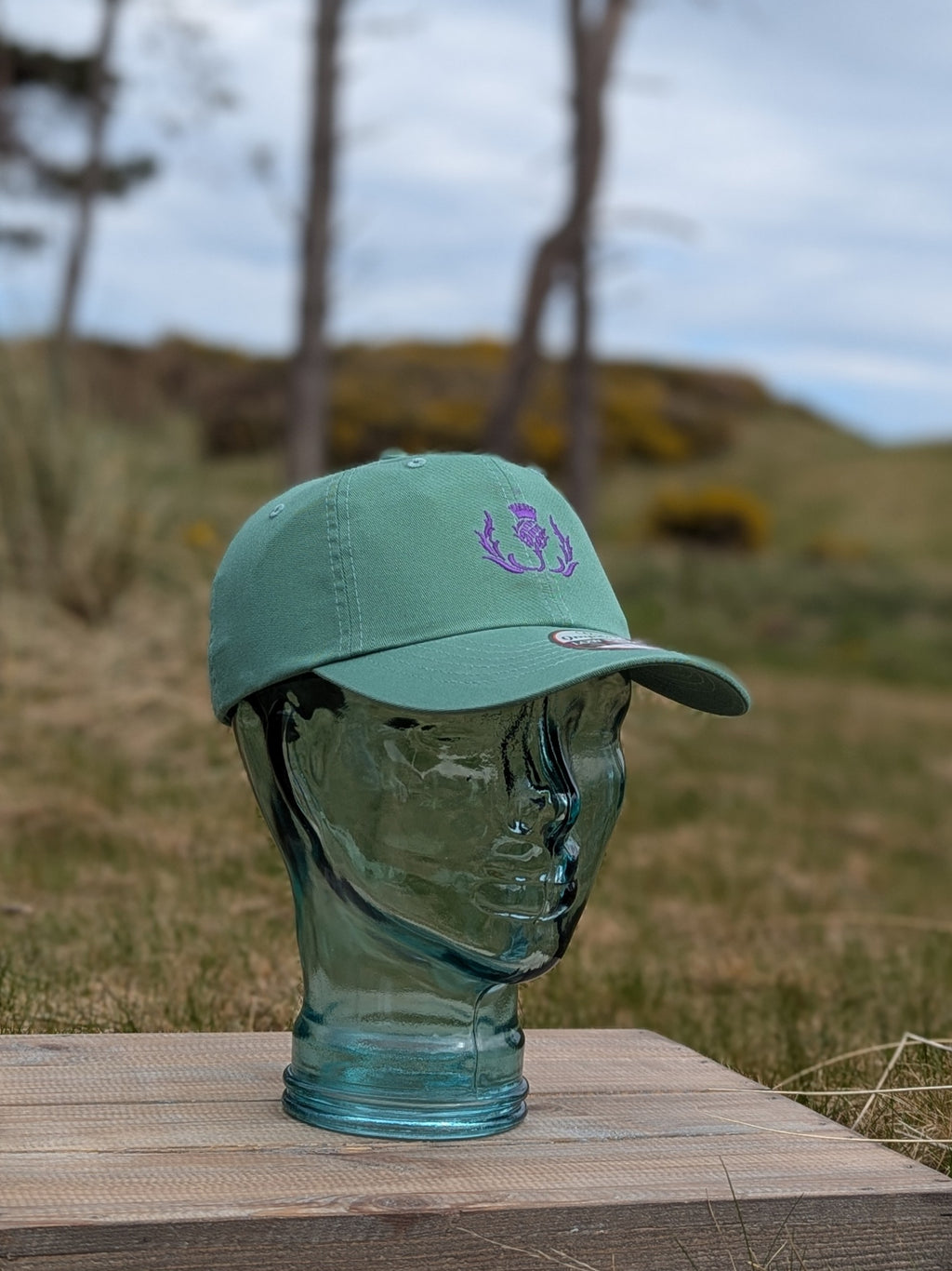 Cotton Tour Cap in Laurel Green