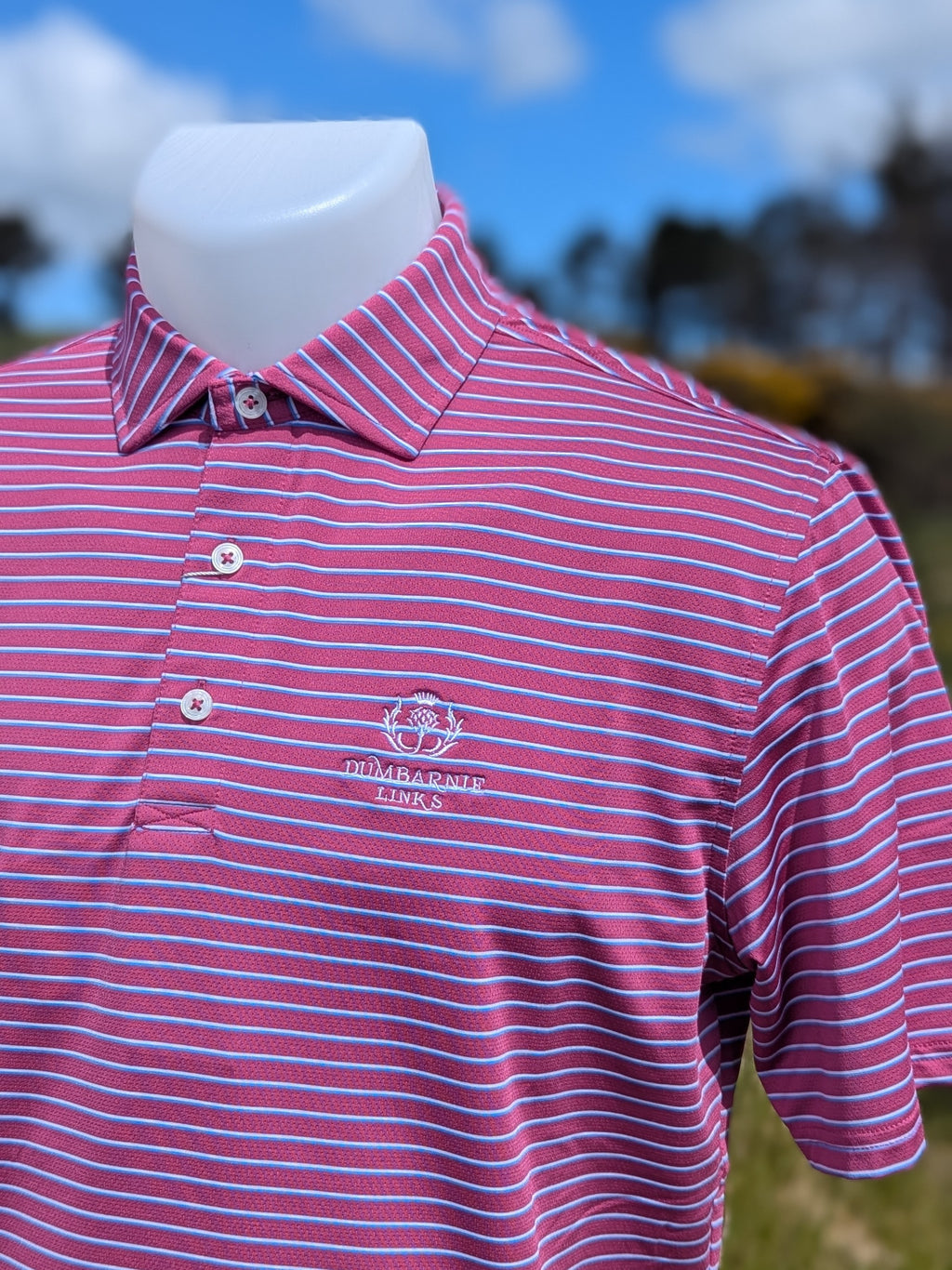 Holderness & Bourne The Springer Shirt in Cabernet