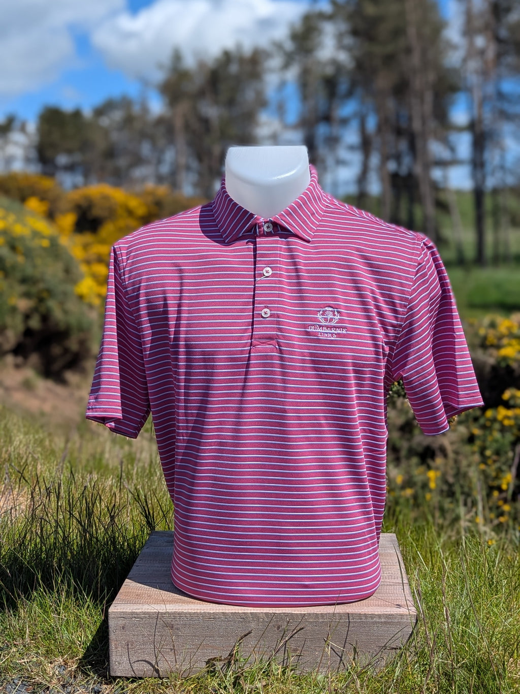 Holderness & Bourne The Springer Shirt in Cabernet
