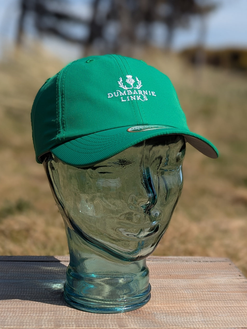 Original Performance Cap in Green