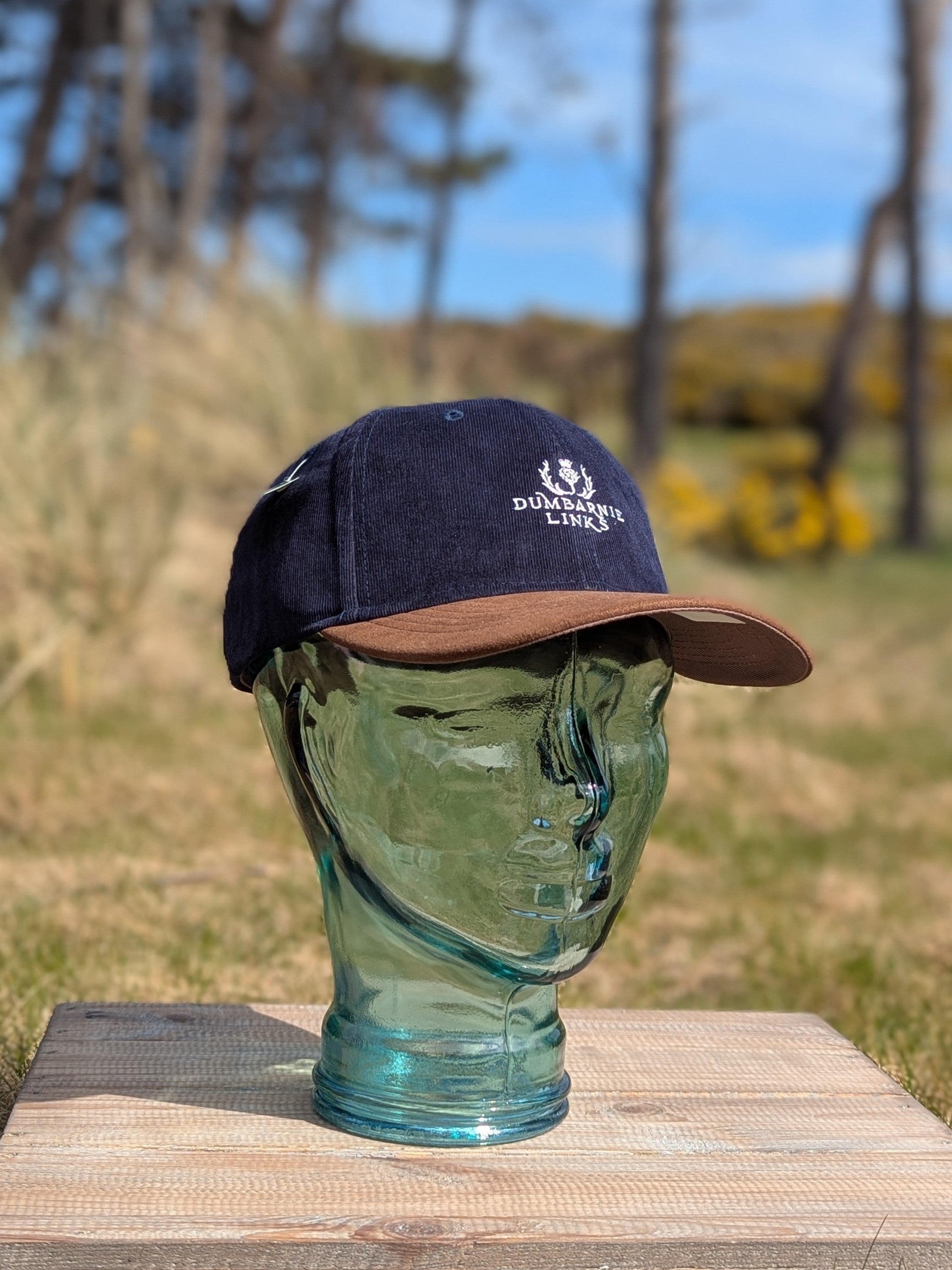 'The Pine Grove' Corduroy & Ultrasuede Cap in Navy/Brown