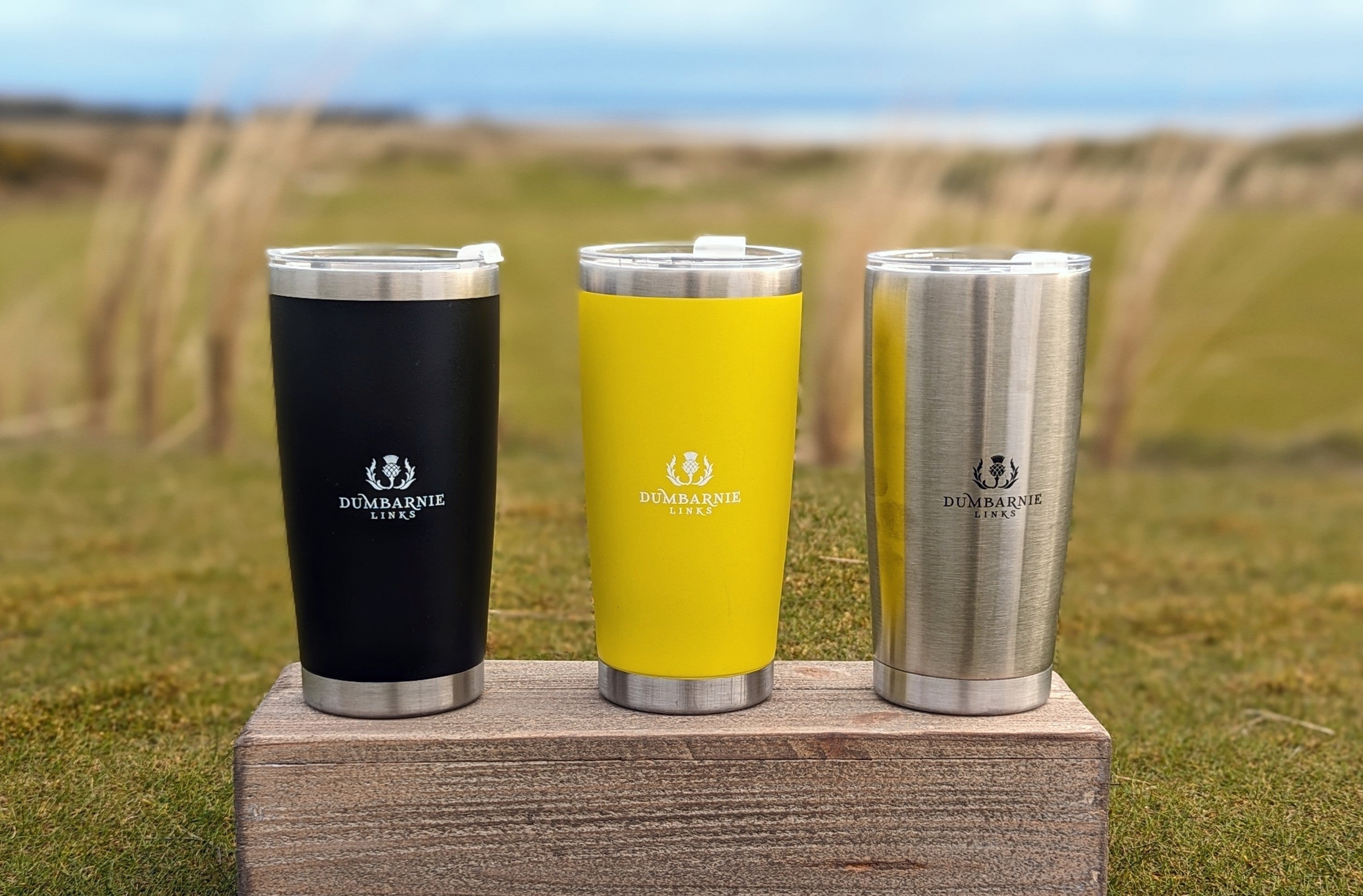 Insulated Cup