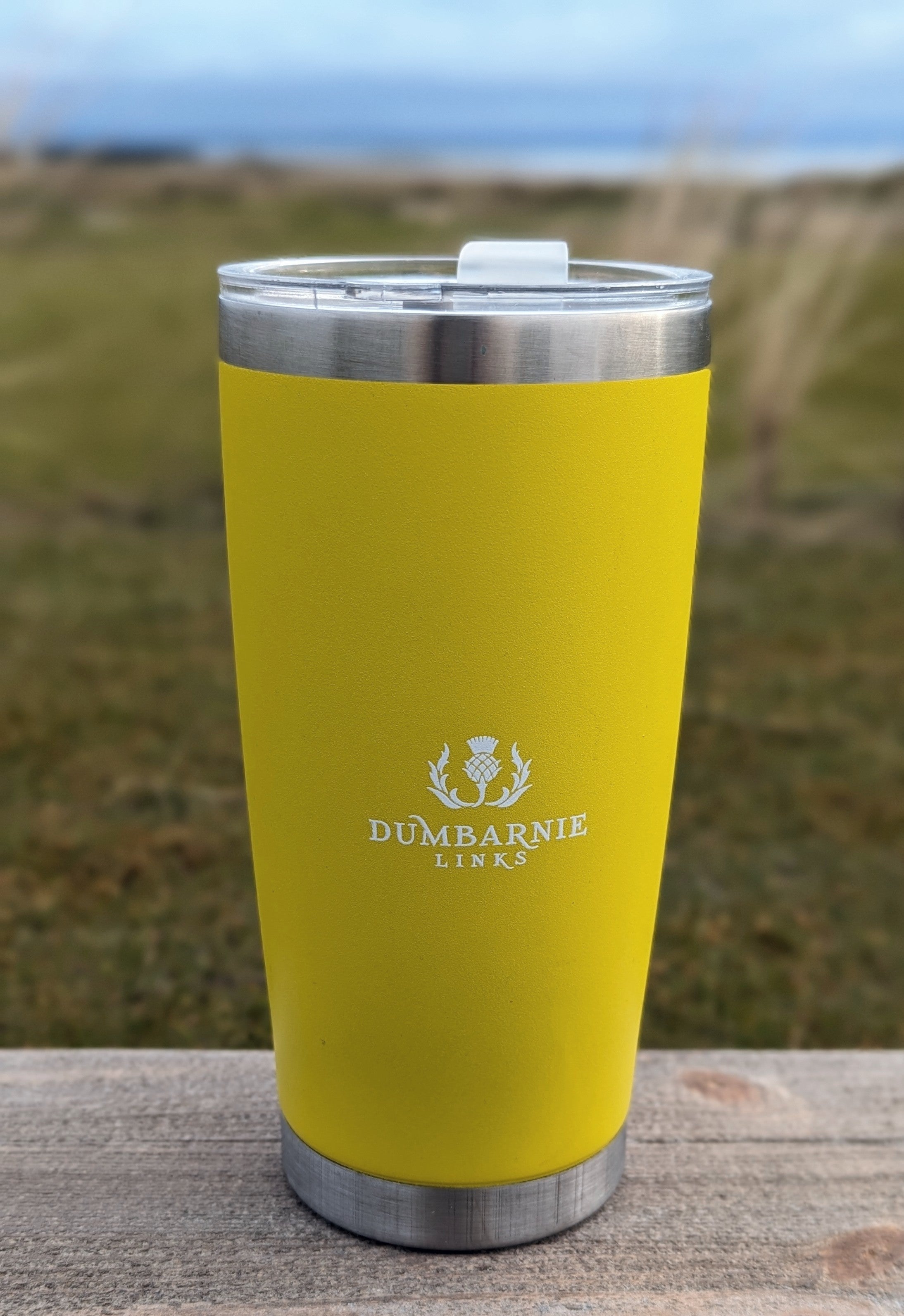 Insulated Cup