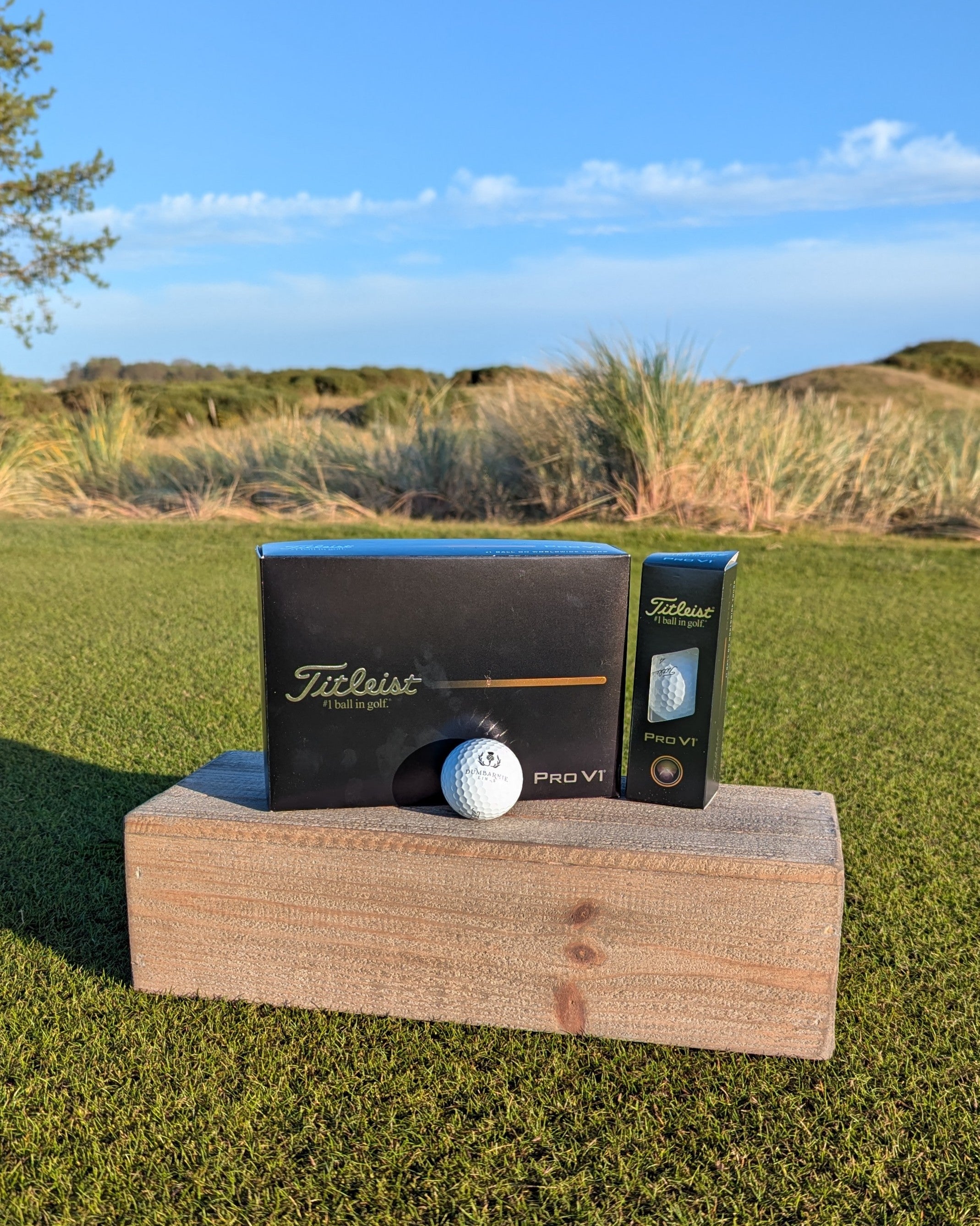 Dumbarnie Logo Titelist Pro V1 in White