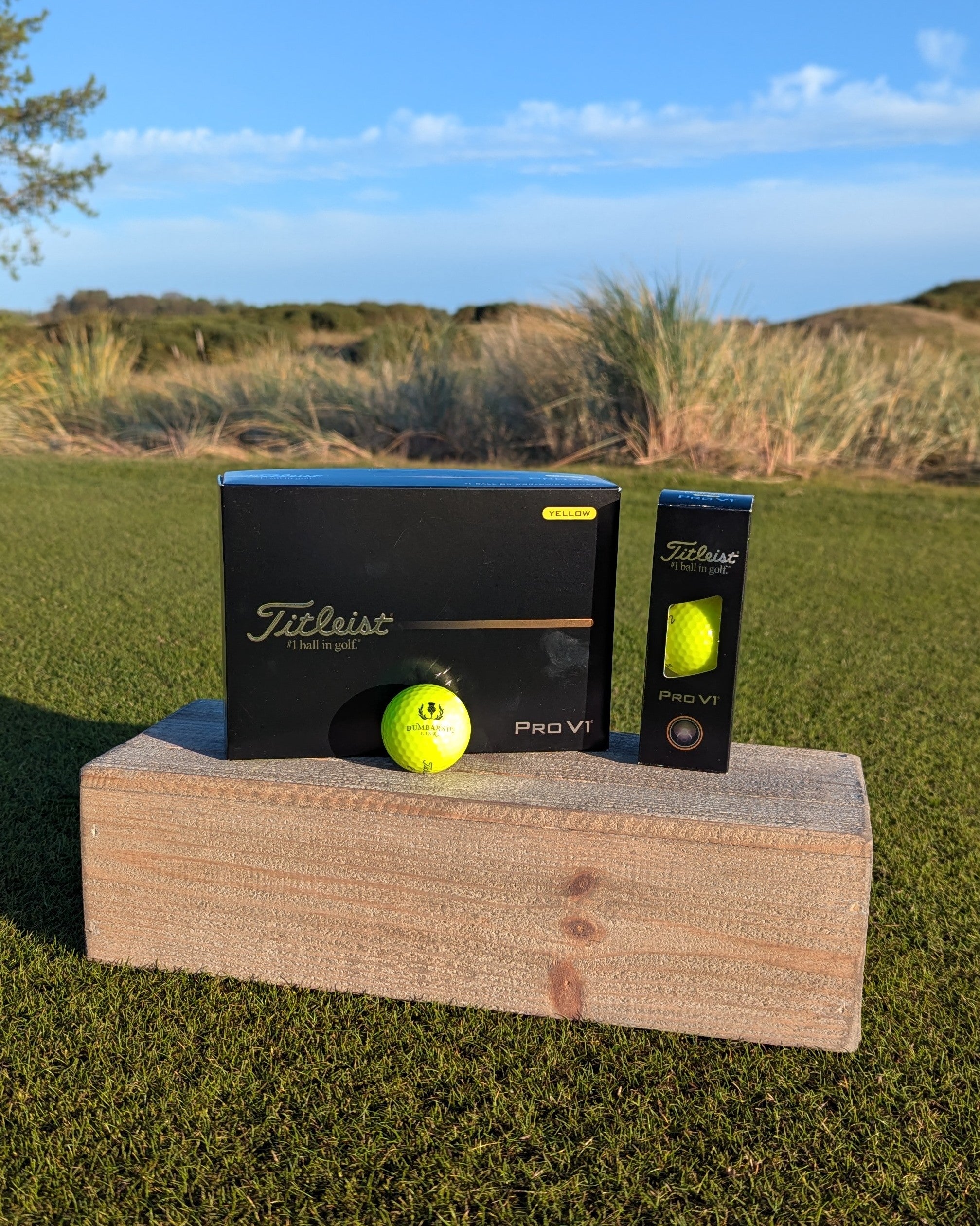 Dumbarnie Logo Titleist Pro V1 Balls in Yellow