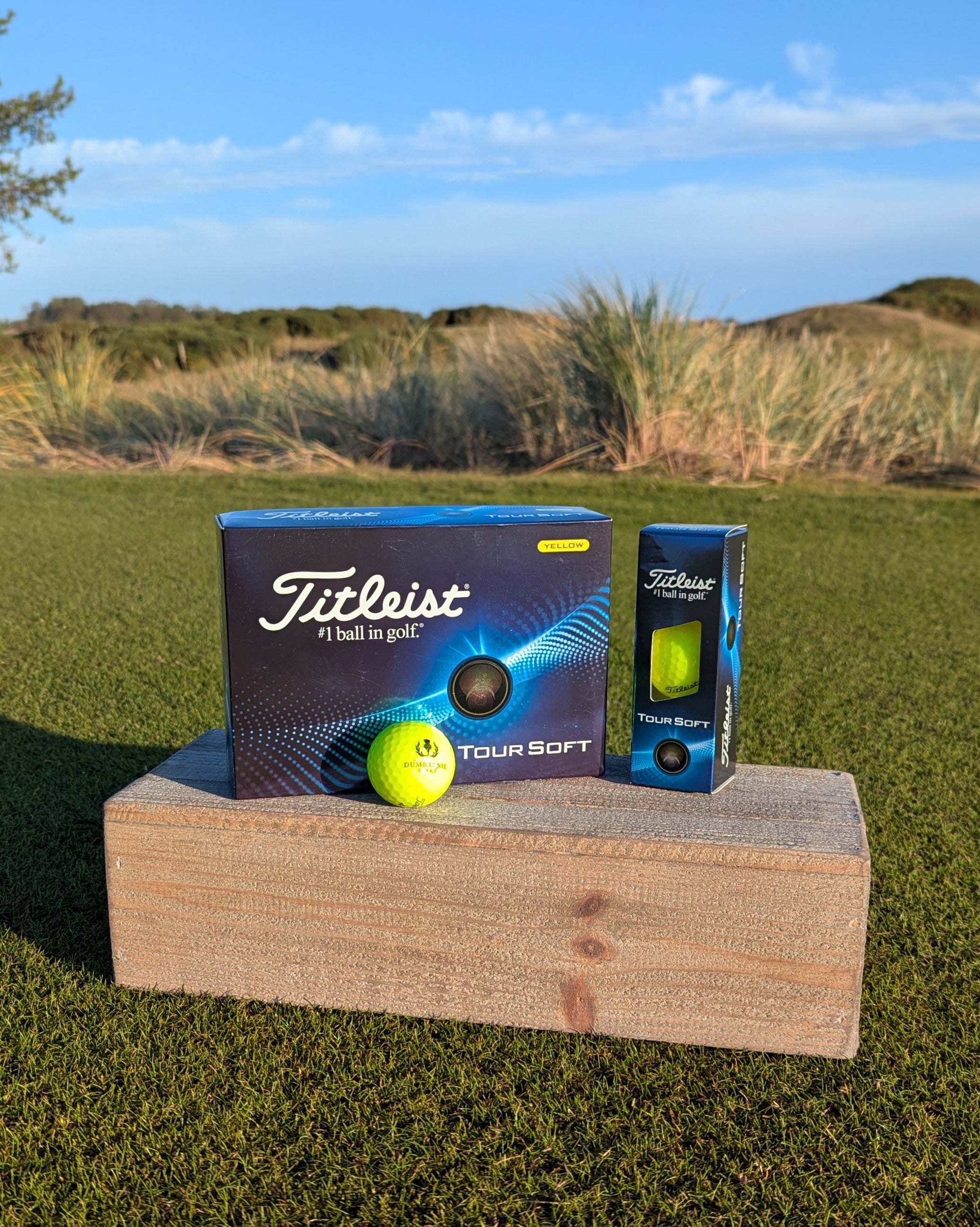 Dumbarnie Logo Titleist Tour Soft Balls in Yellow