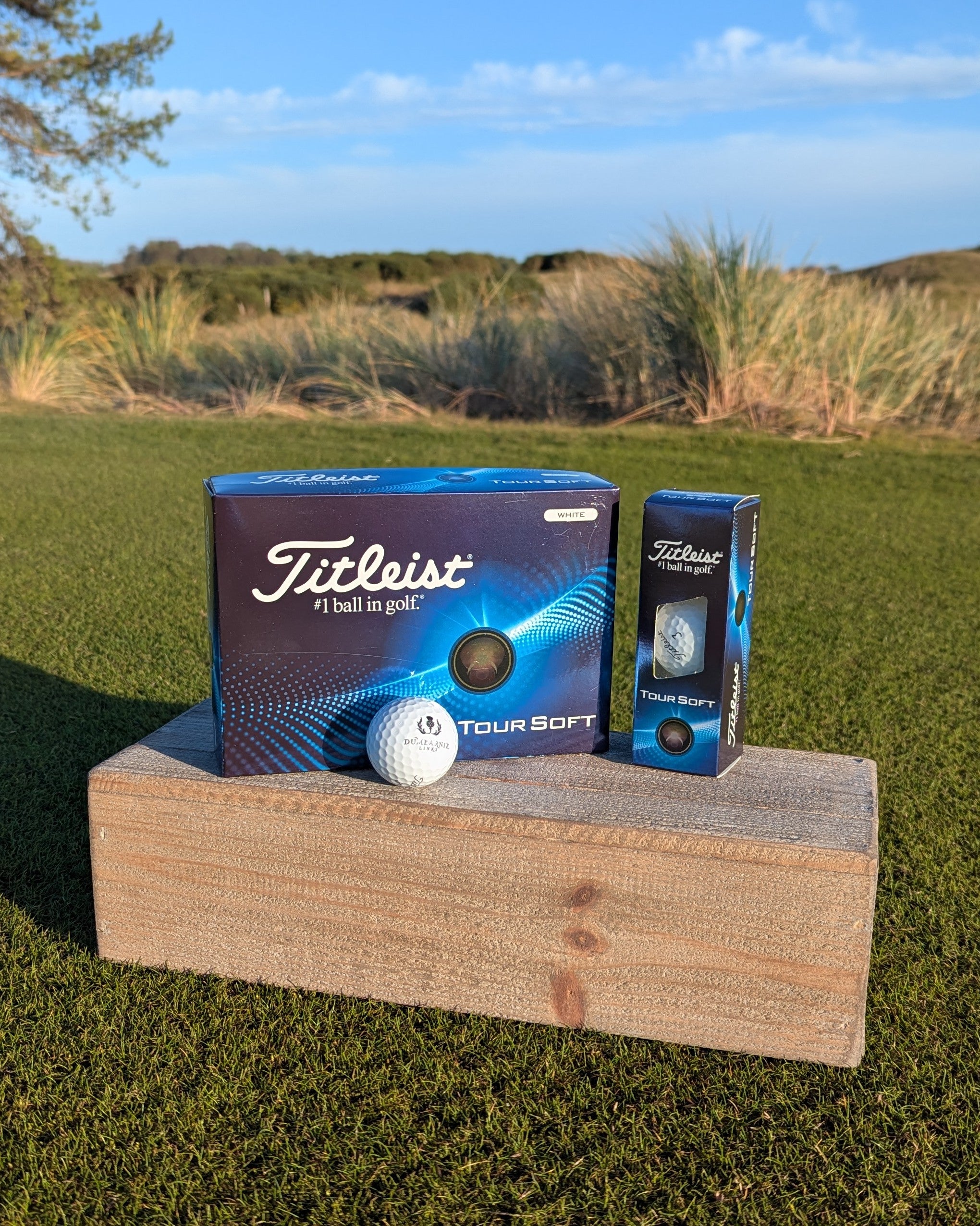 Dumbarnie Logo Titelist Tour Soft Balls in White
