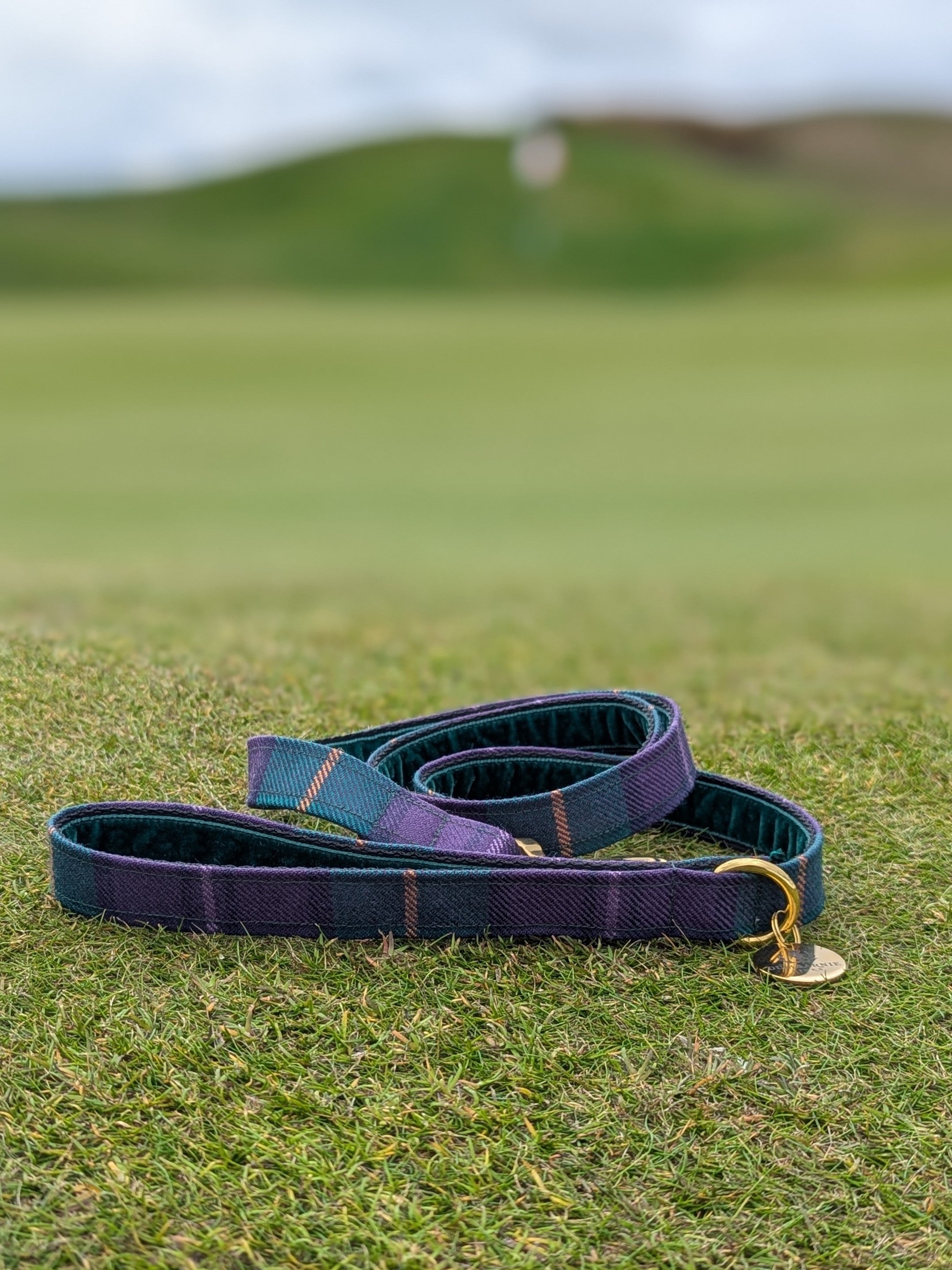 Dumbarnie Tartan Dog Leads