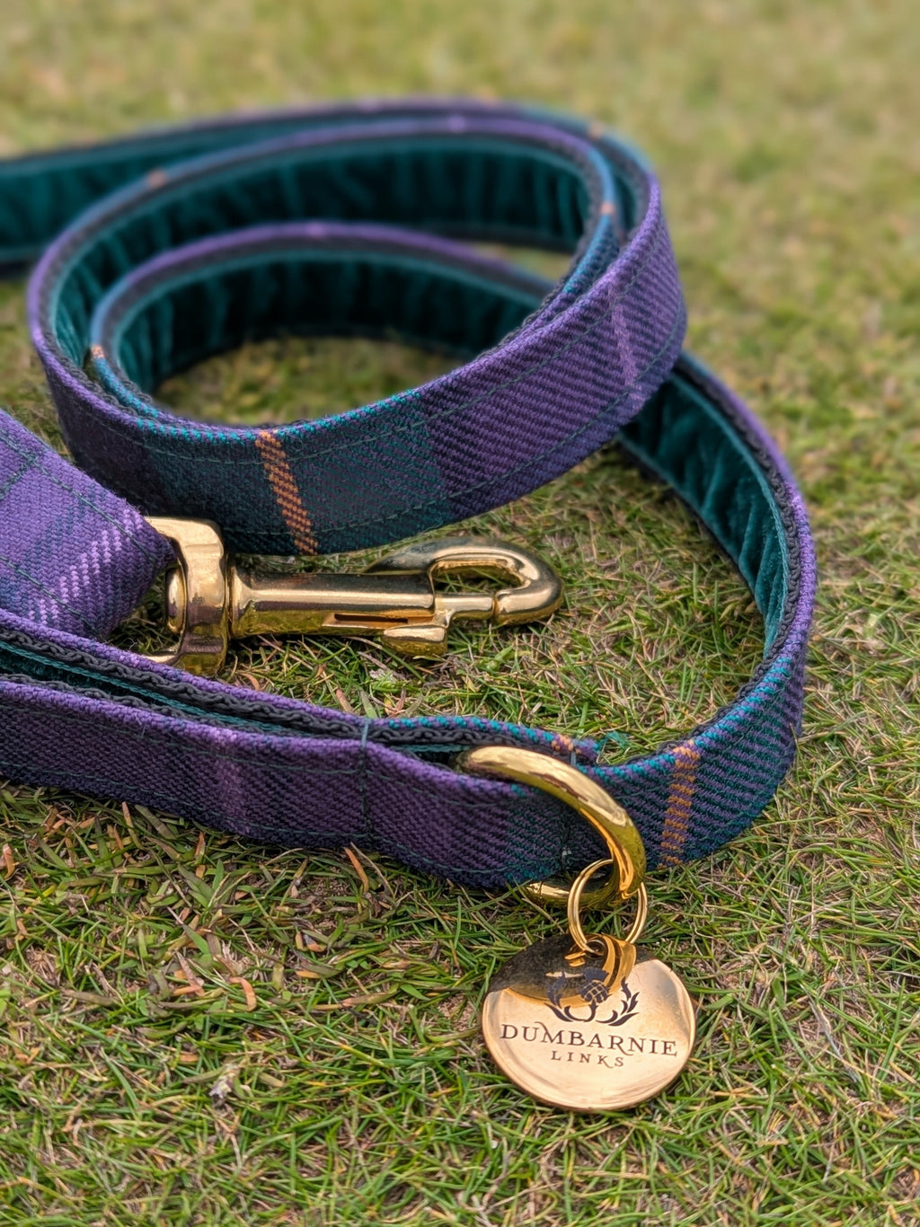 Dumbarnie Tartan Dog Collar