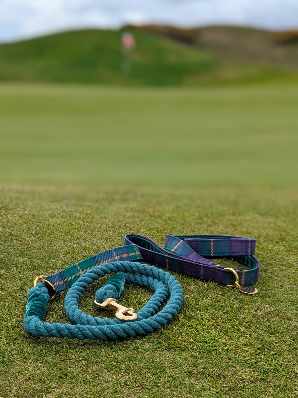 Dumbarnie Tartan Dog Leads