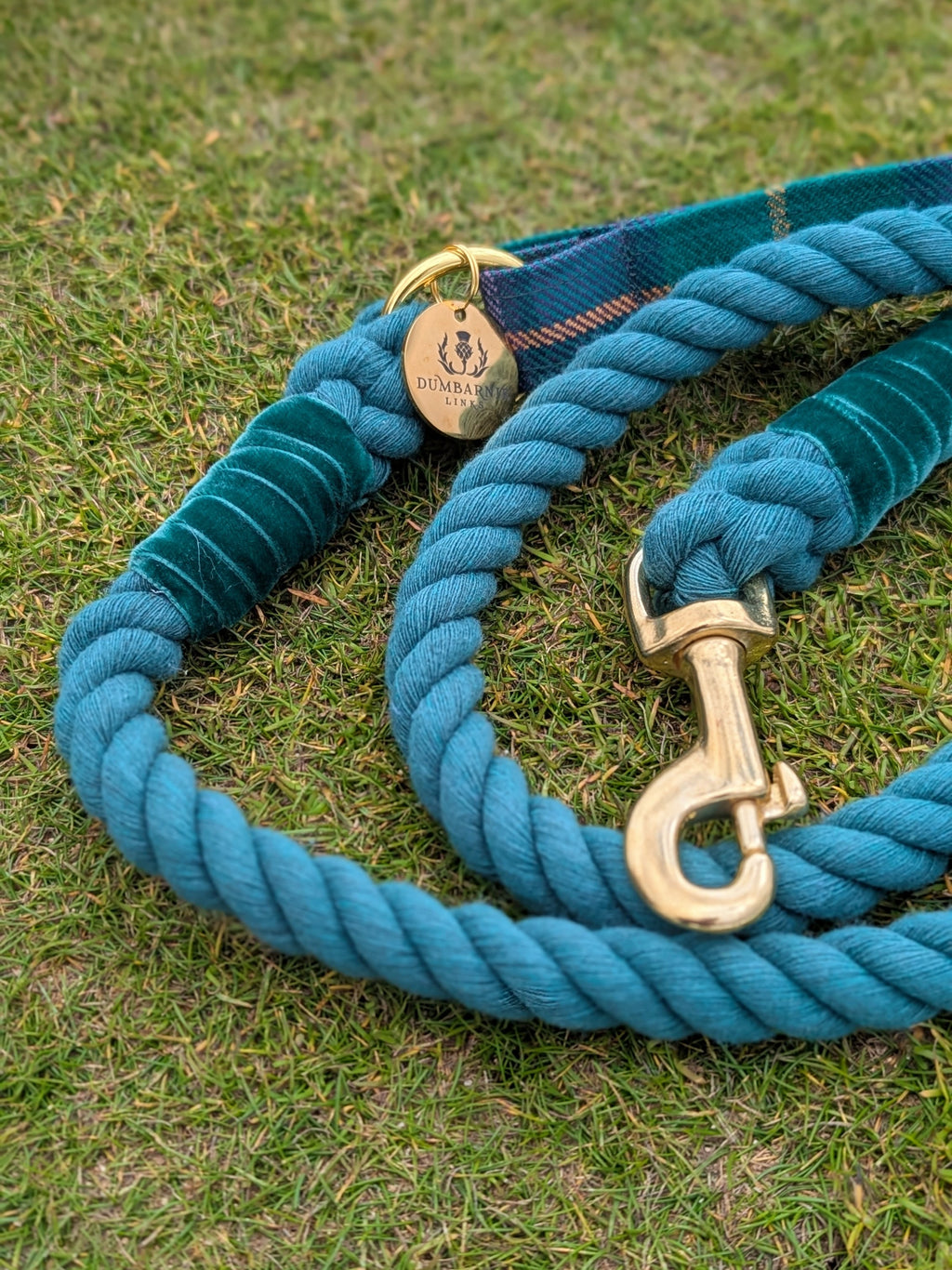 Dumbarnie Tartan Dog Collar