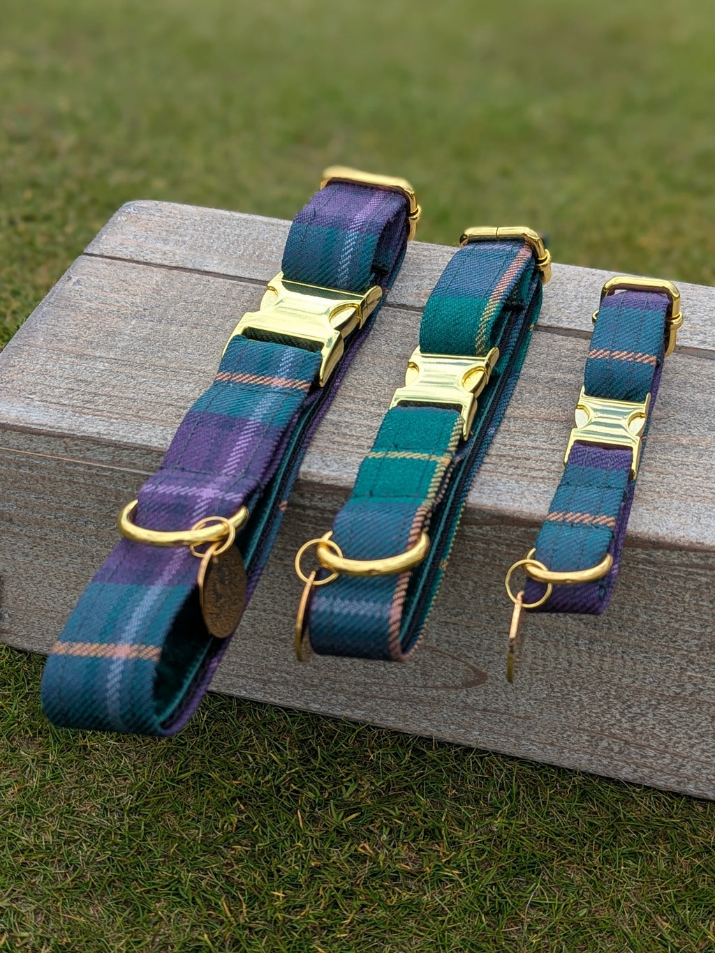 Dumbarnie Tartan Dog Collar