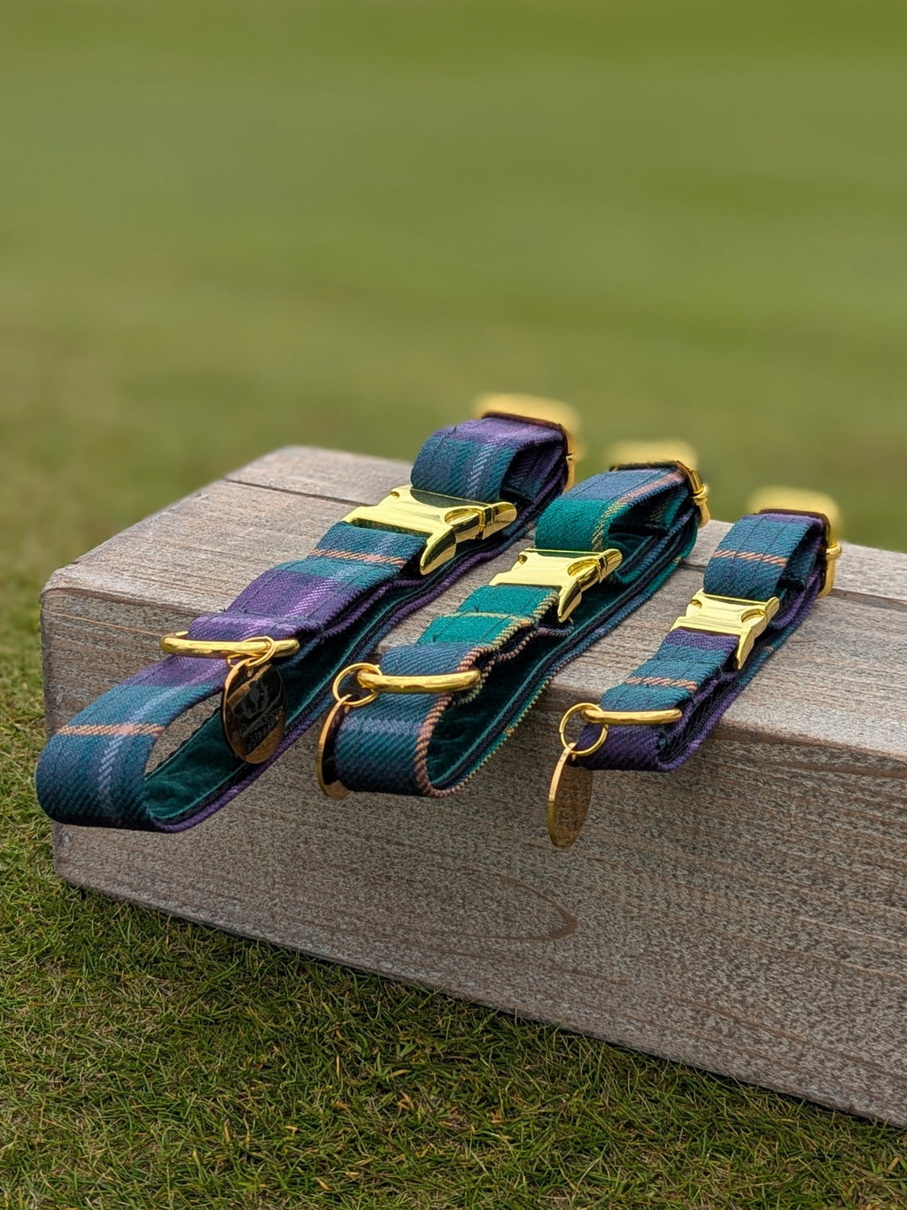 Dumbarnie Tartan Dog Collar