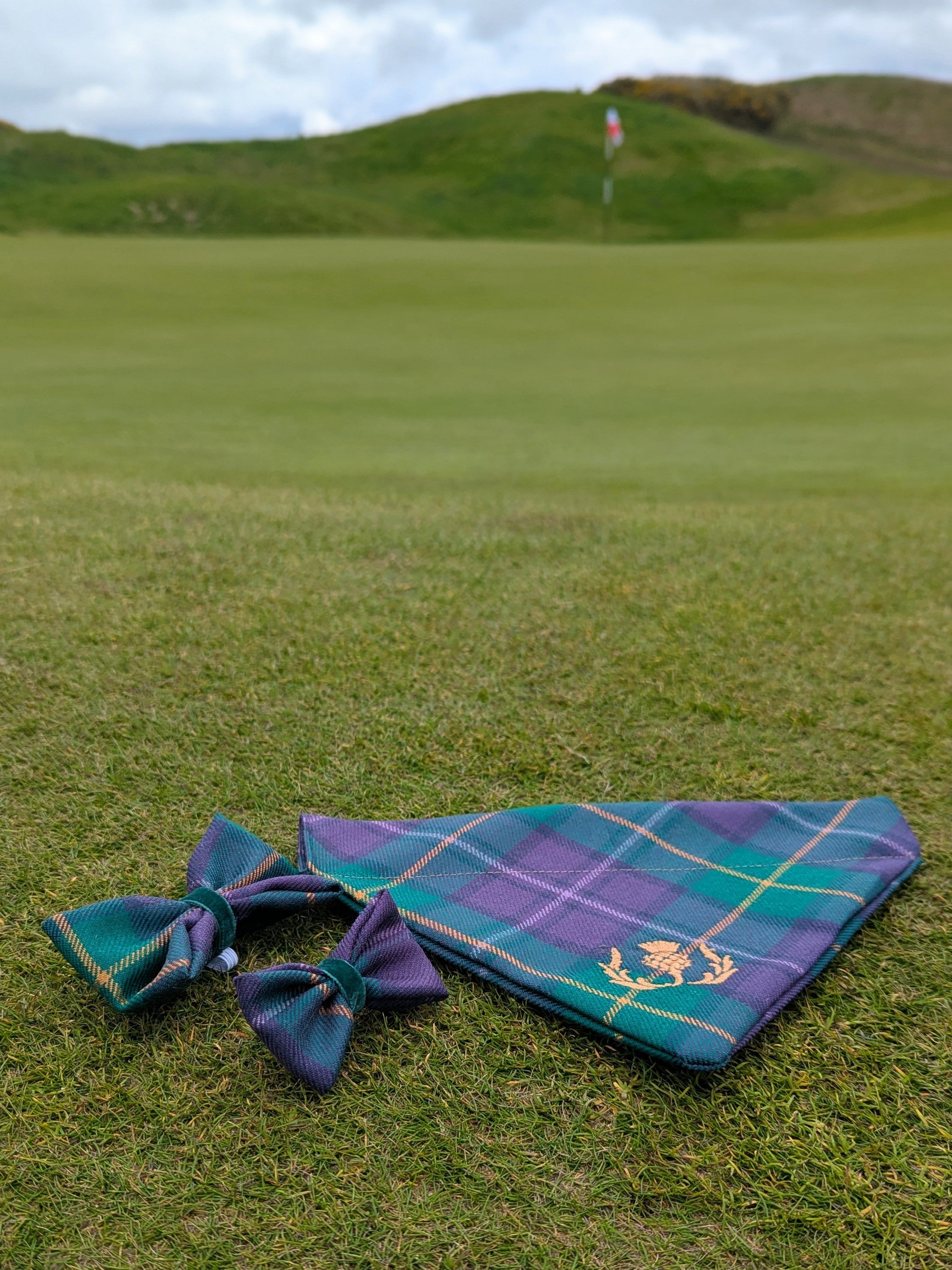Dumbarnie Tartan Dog Bandana