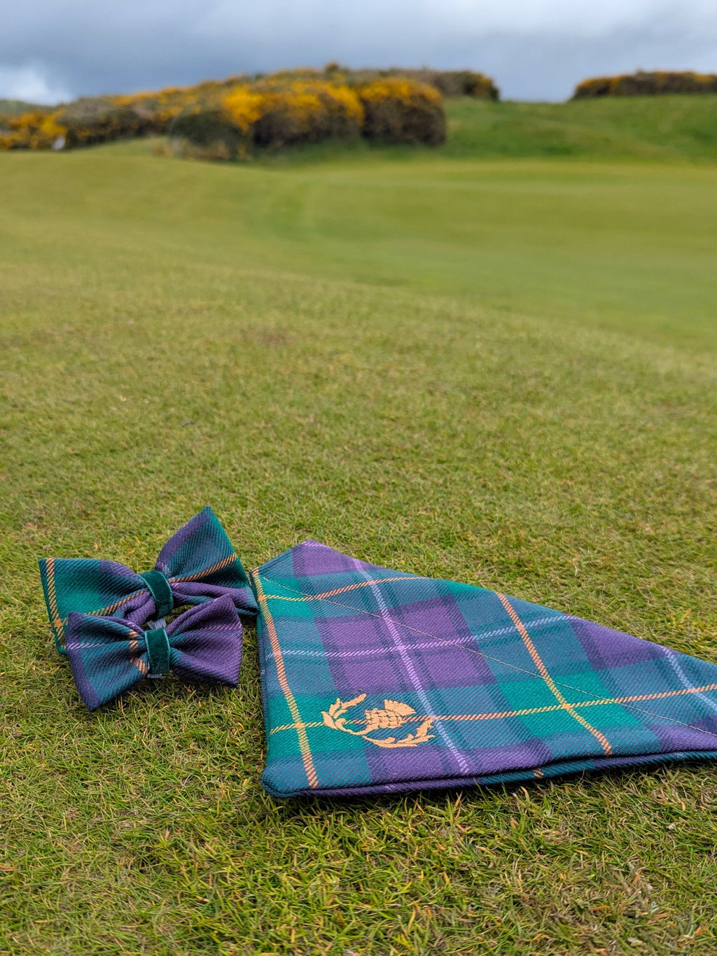 Dumbarnie Tartan Dog Collar